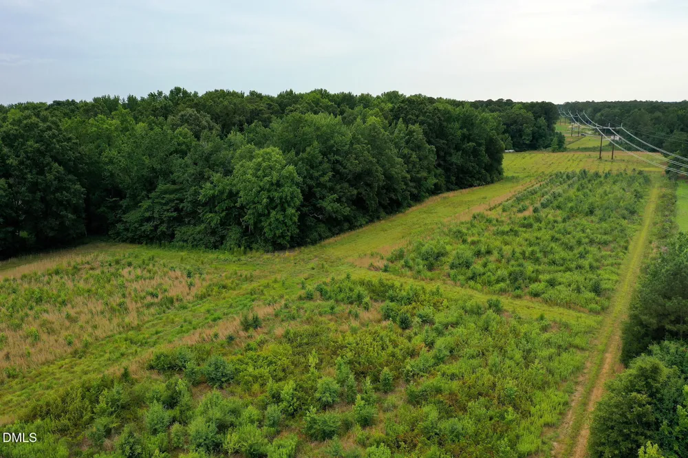 19.2 Acres Bunnlevel Erwin Road Erwin, NC 28339