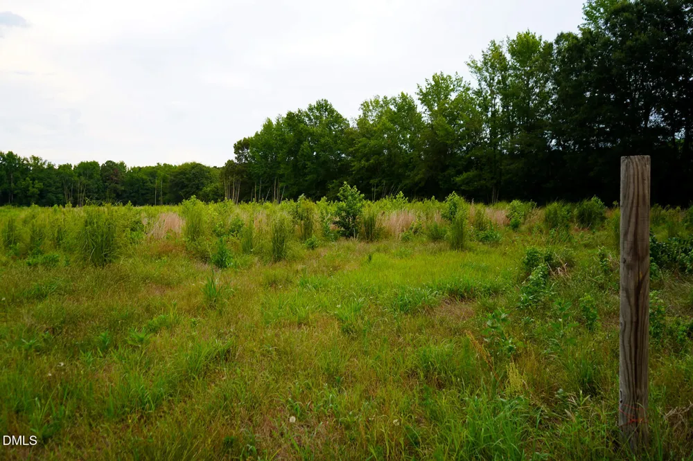 19.2 Acres Bunnlevel Erwin Road Erwin, NC 28339