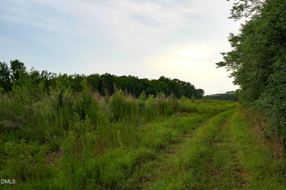 19.2 Acres Bunnlevel Erwin Road Erwin, NC 28339