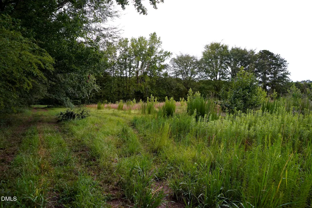 19.2 Acres Bunnlevel Erwin Road Erwin, NC 28339