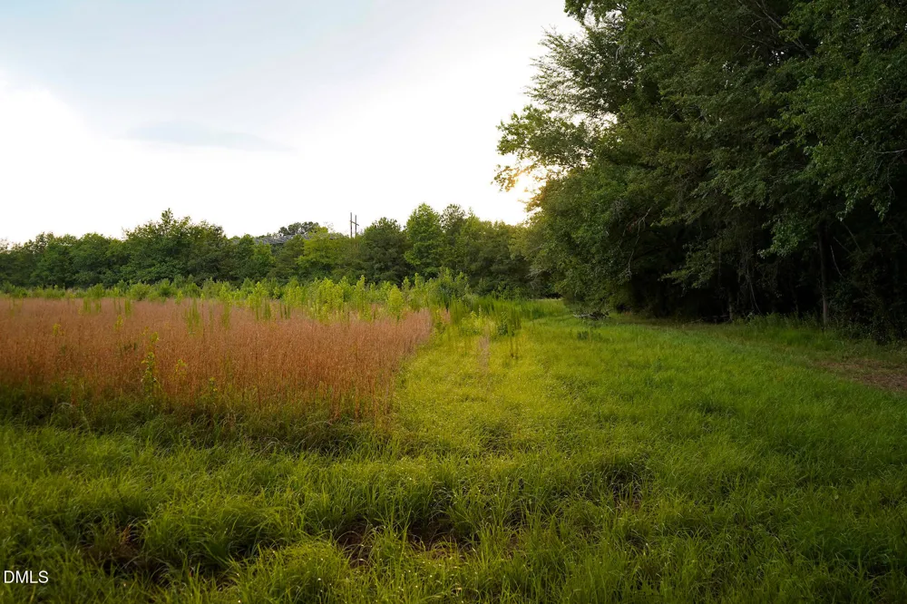 19.2 Acres Bunnlevel Erwin Road Erwin, NC 28339