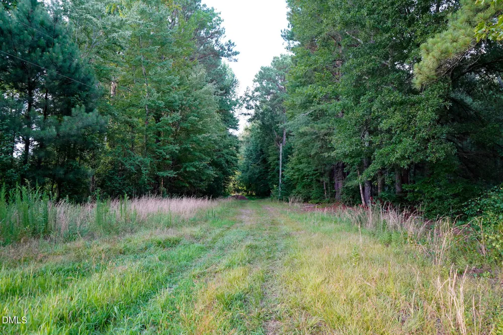 19.2 Acres Bunnlevel Erwin Road Erwin, NC 28339