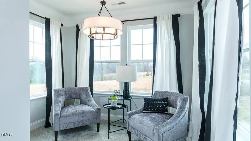 833 Old Station Pointe Angier, NC 27501