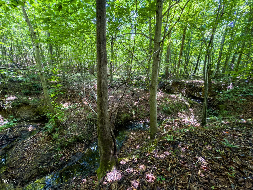 0 Park Springs Road Ruffin, NC 27326