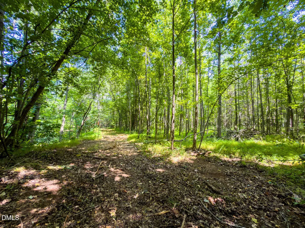 0 Park Springs Road Ruffin, NC 27326