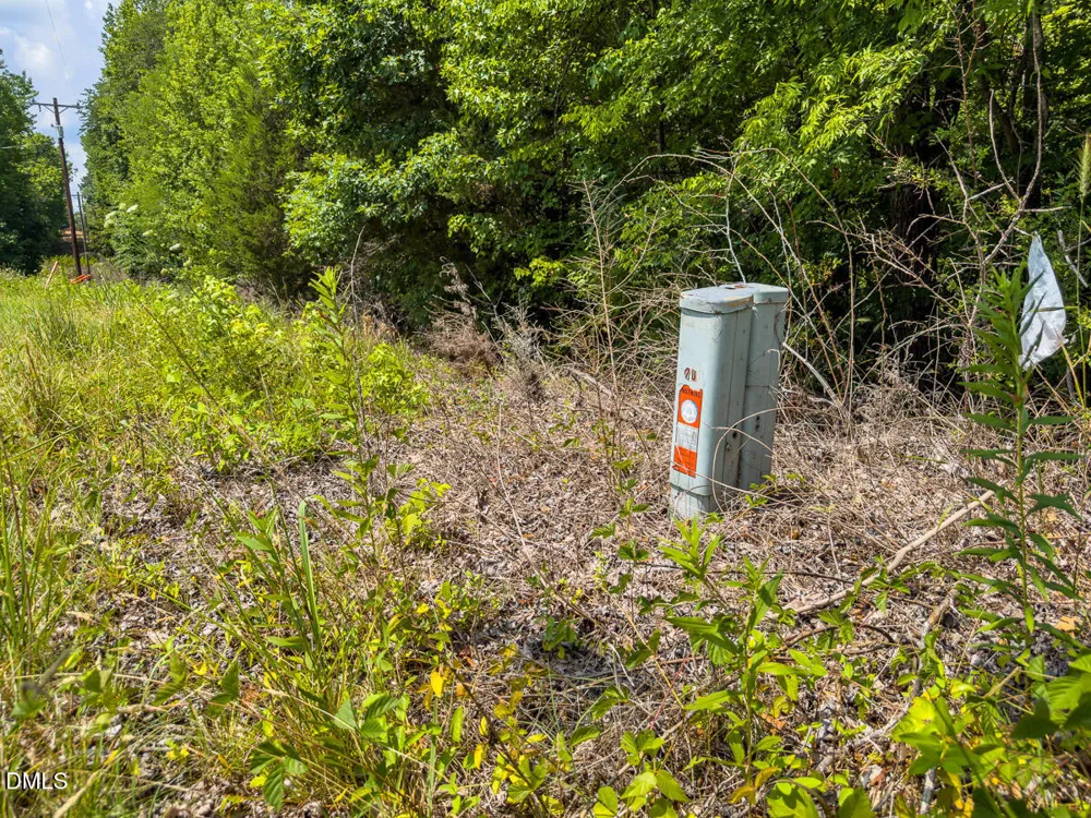 0 Park Springs Road Ruffin, NC 27326