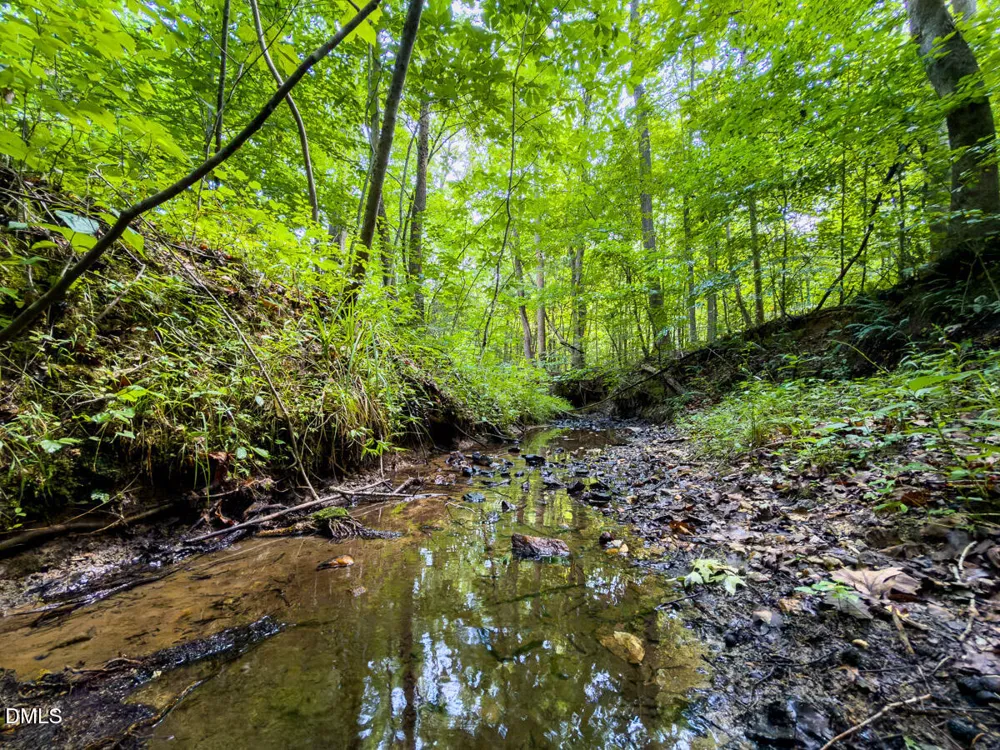 0 Park Springs Road Ruffin, NC 27326