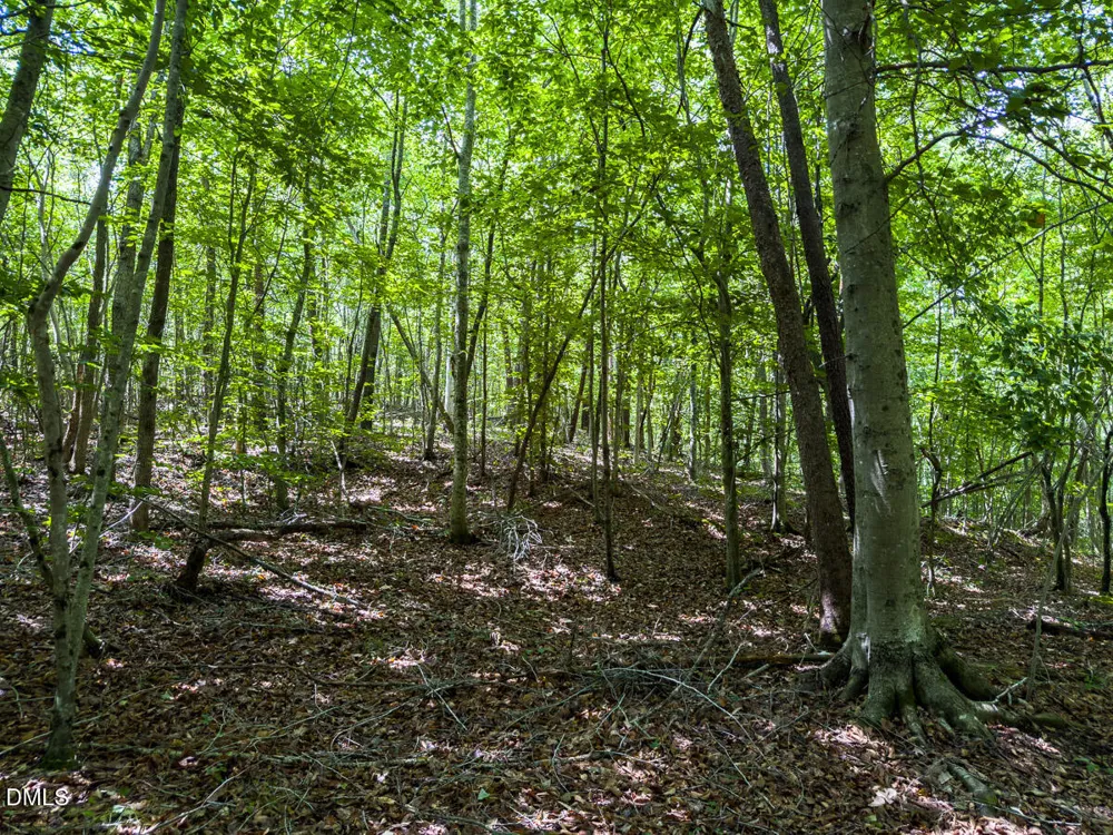 0 Park Springs Road Ruffin, NC 27326