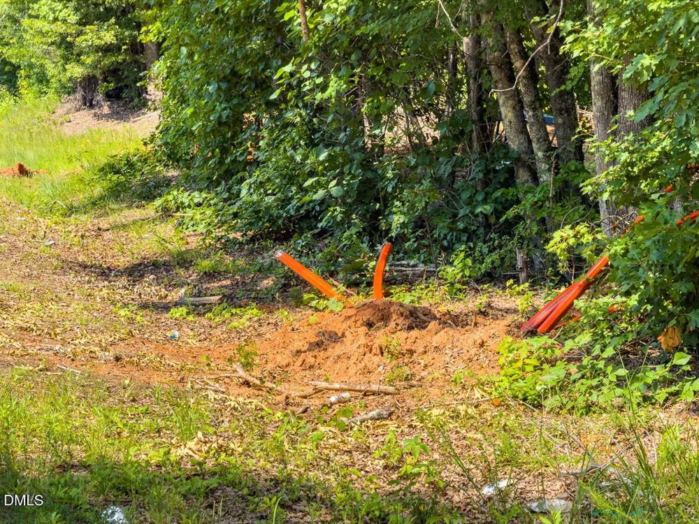 0 Park Springs Road Ruffin, NC 27326