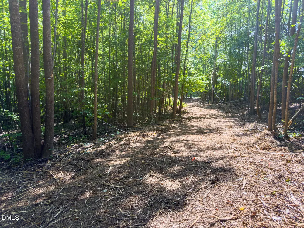 0 Park Springs Road Ruffin, NC 27326