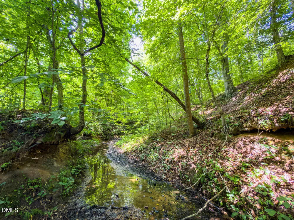 0 Park Springs Road Ruffin, NC 27326