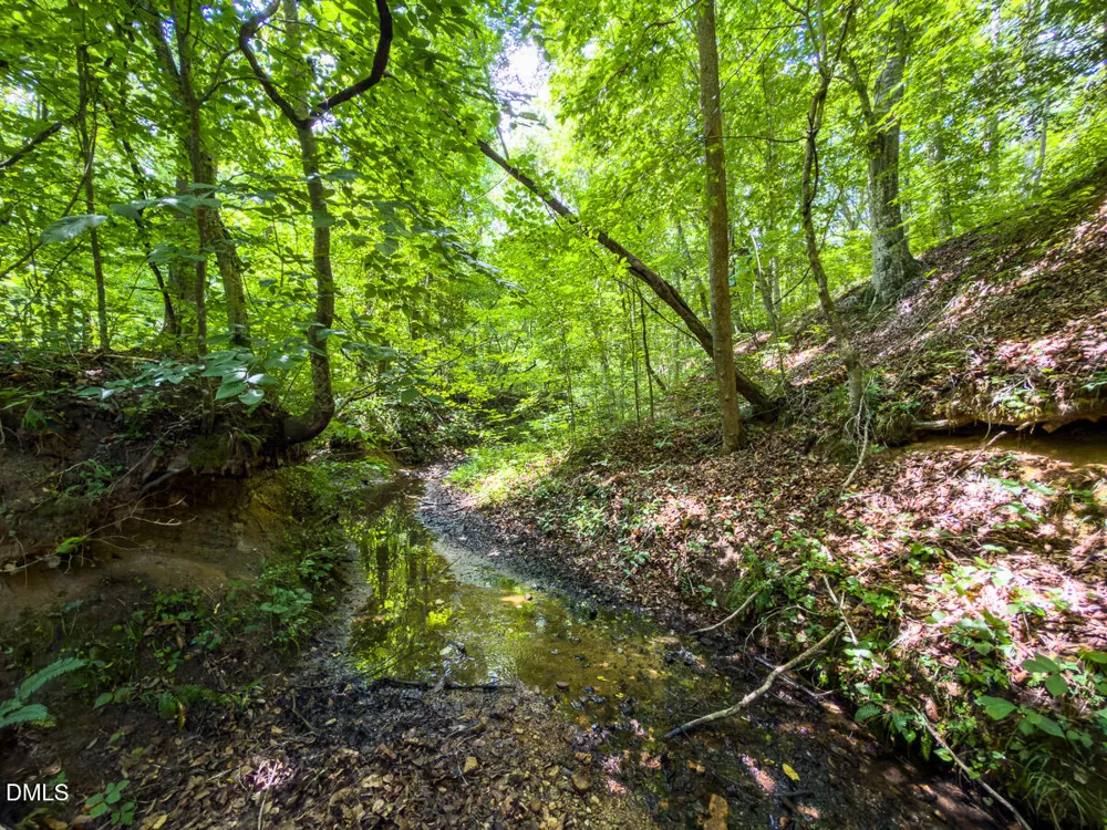 0 Park Springs Road Ruffin, NC 27326