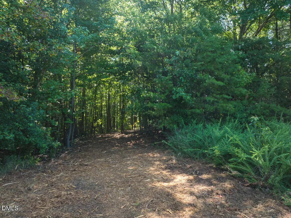 0 Park Springs Road Ruffin, NC 27326