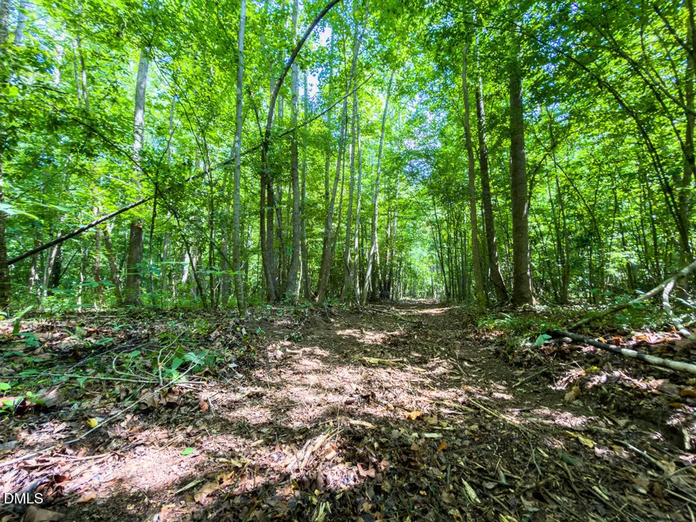 0 Park Springs Road Ruffin, NC 27326