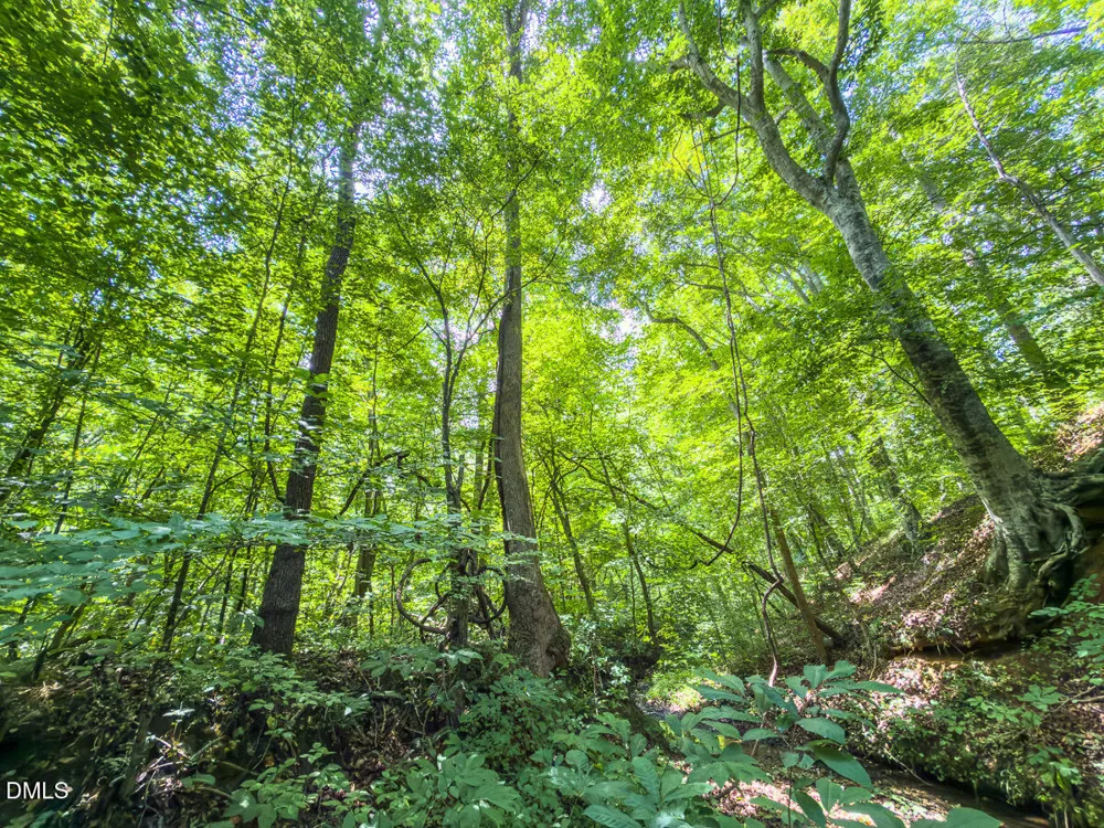 0 Park Springs Road Ruffin, NC 27326