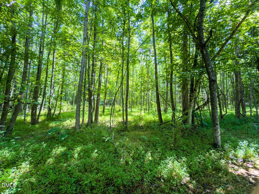 0 Park Springs Road Ruffin, NC 27326