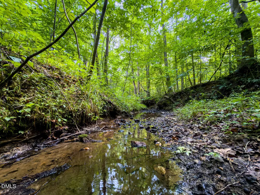 0 Park Springs Road Ruffin, NC 27326