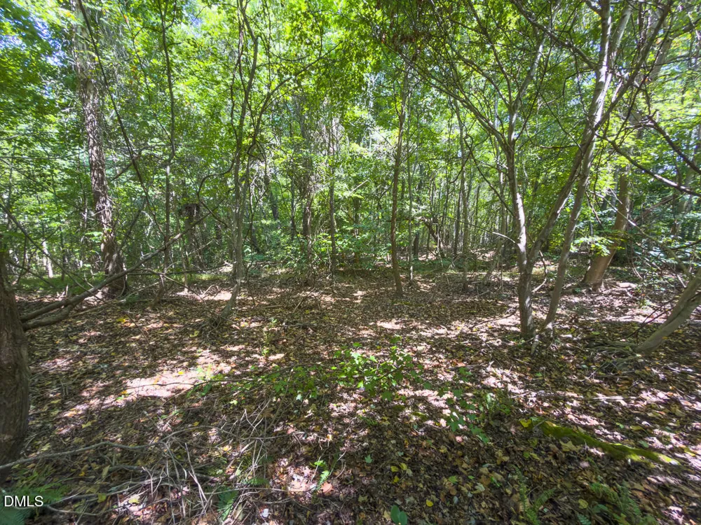 0 Park Springs Road Ruffin, NC 27326