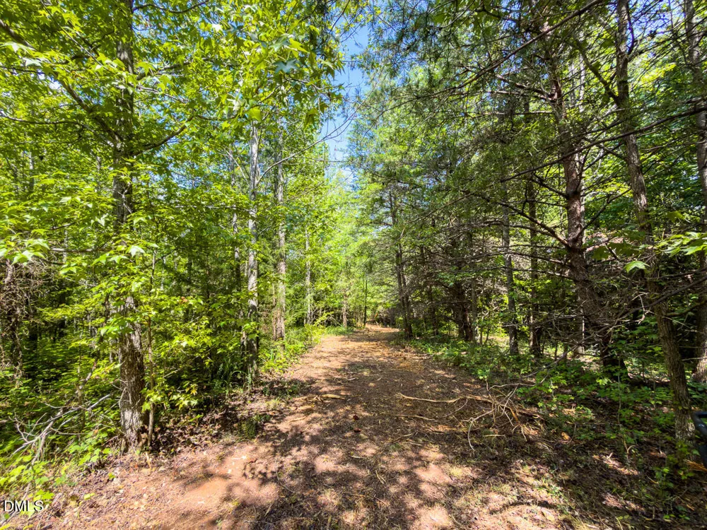 0 Park Springs Road Ruffin, NC 27326