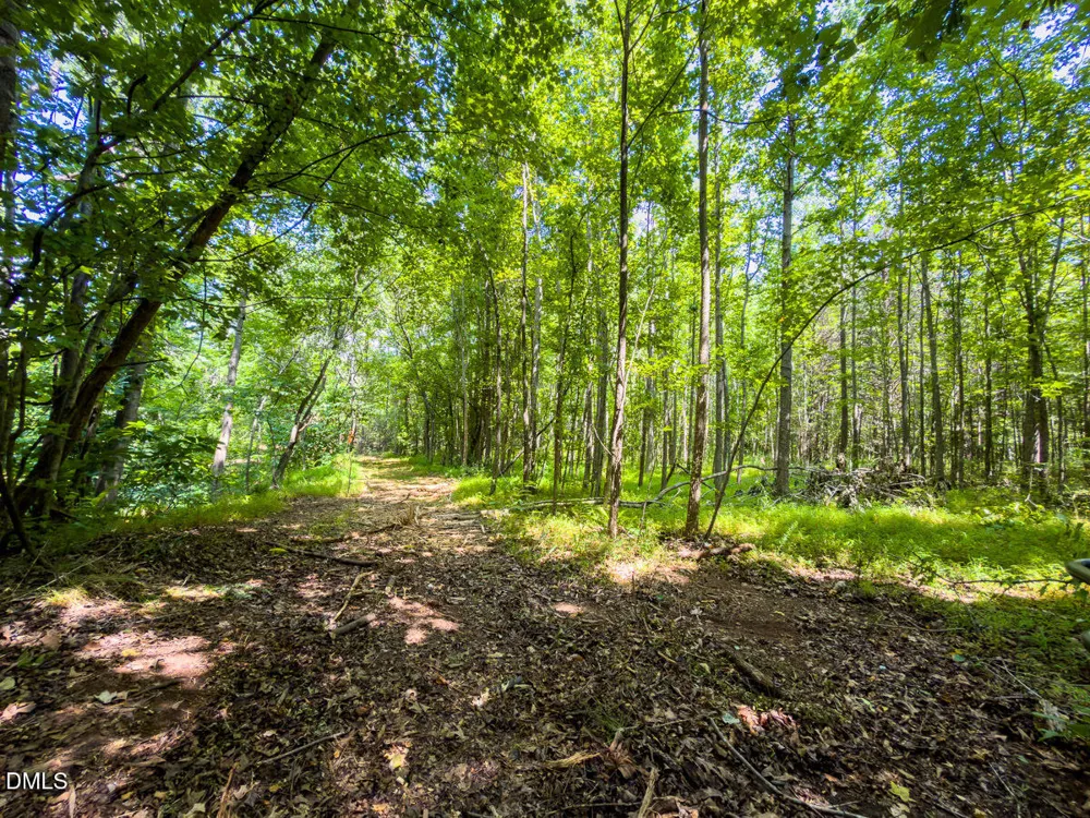 0 Park Springs Road Ruffin, NC 27326