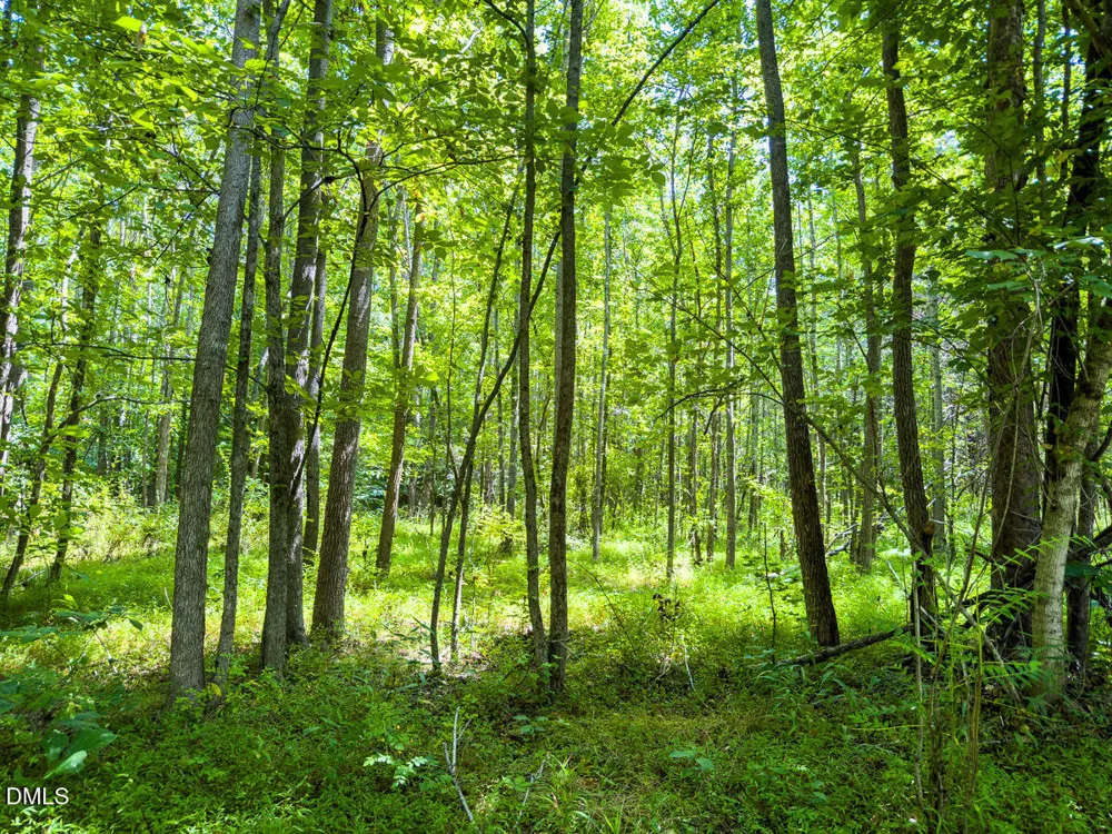 0 Park Springs Road Ruffin, NC 27326