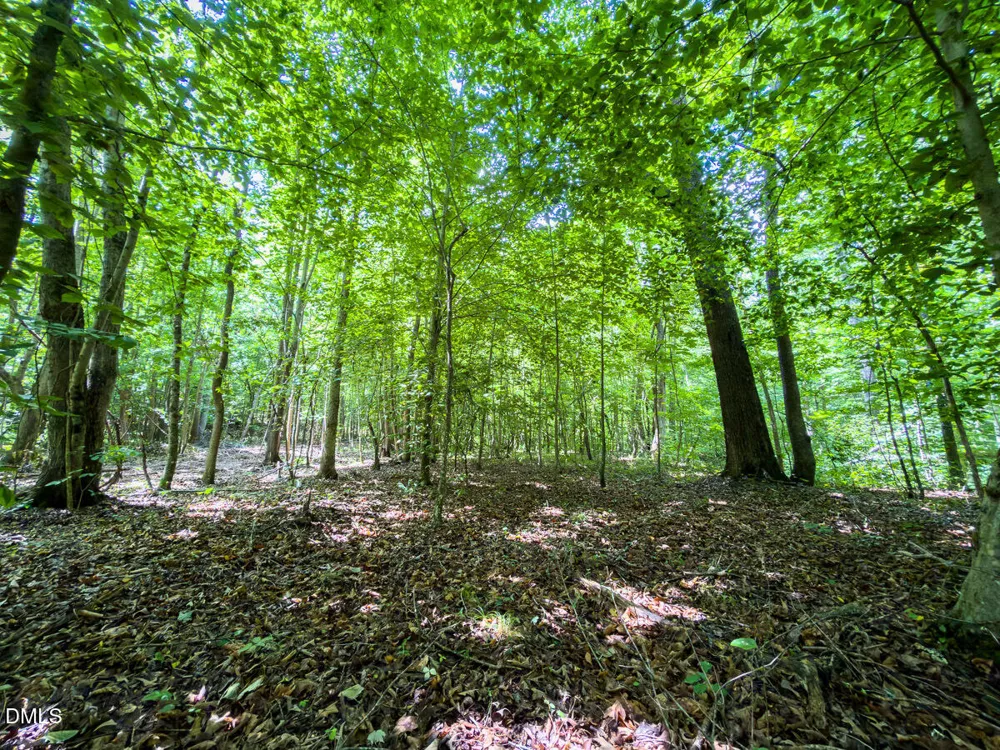 0 Park Springs Road Ruffin, NC 27326