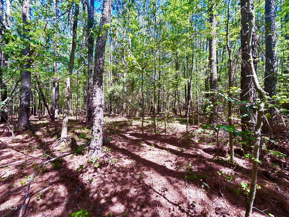 0 Pool Rock Plantation Lane Henderson, NC 27537