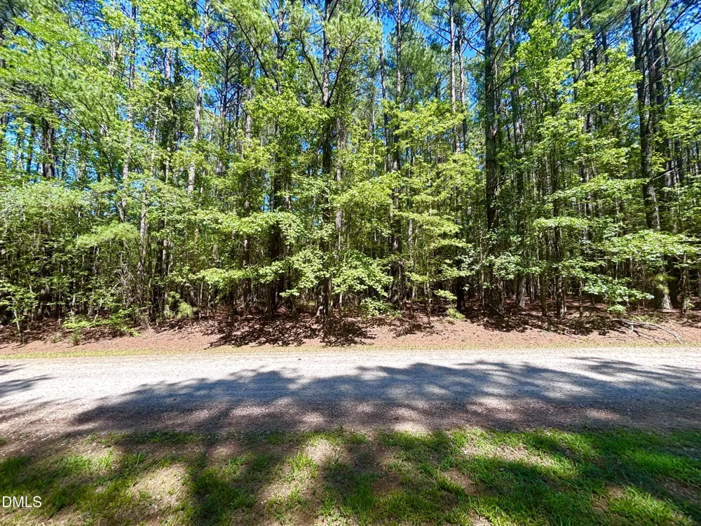 0 Pool Rock Plantation Lane Henderson, NC 27537