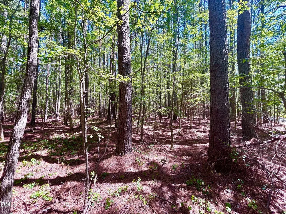 0 Pool Rock Plantation Lane Henderson, NC 27537