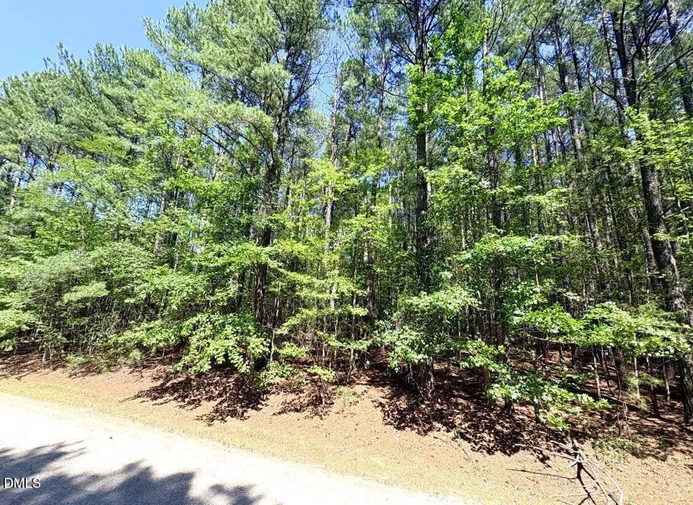 0 Pool Rock Plantation Lane Henderson, NC 27537