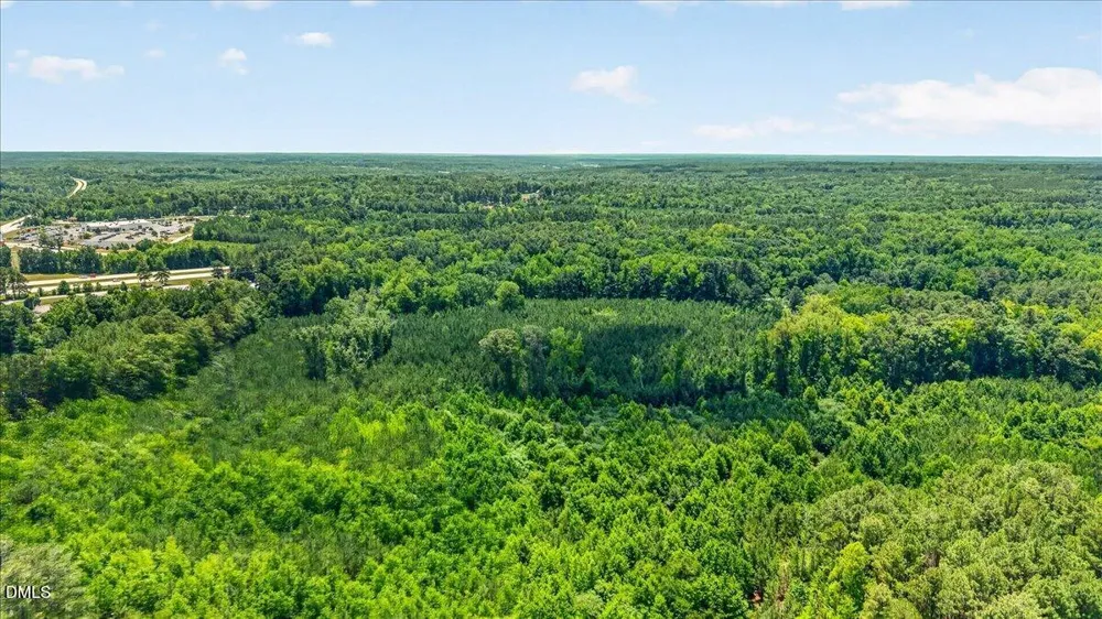 Tbd Zeb Robinson Road Henderson, NC 27537