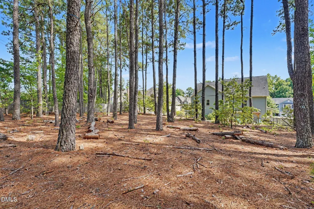 8617 Malahar Lane Angier, NC 27501