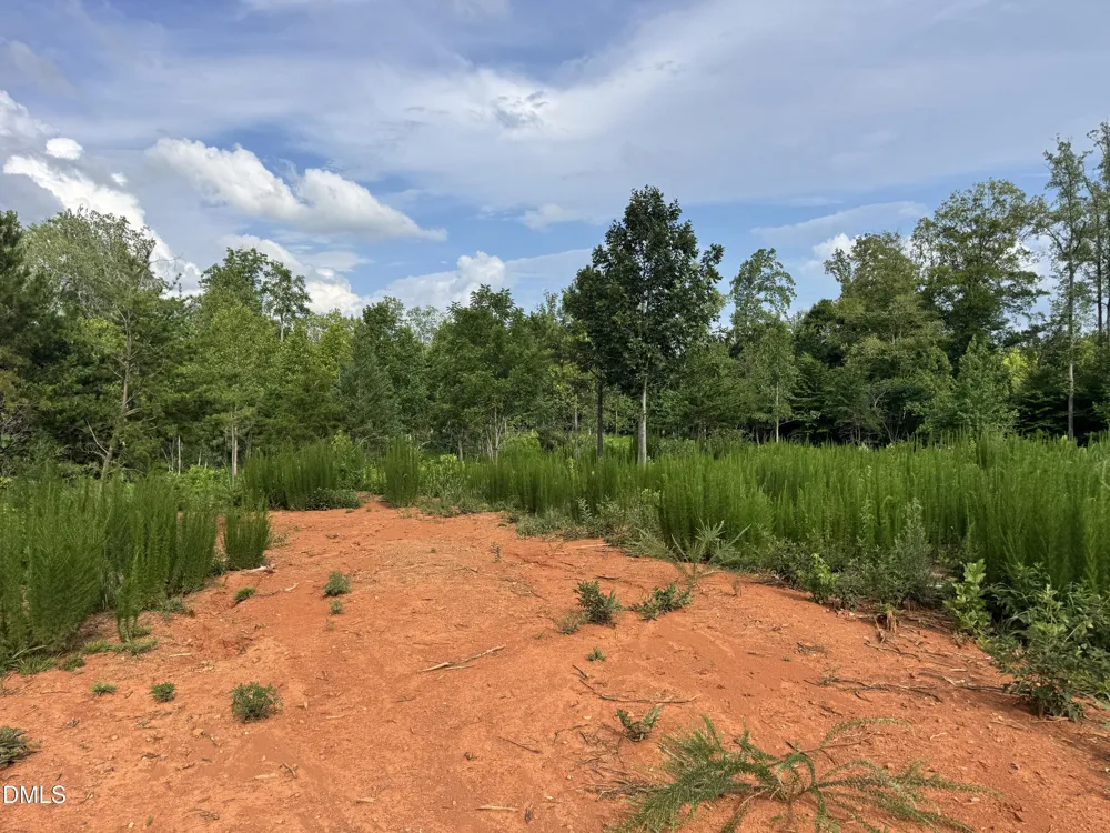 2 Gray Road Timberlake, NC 27583