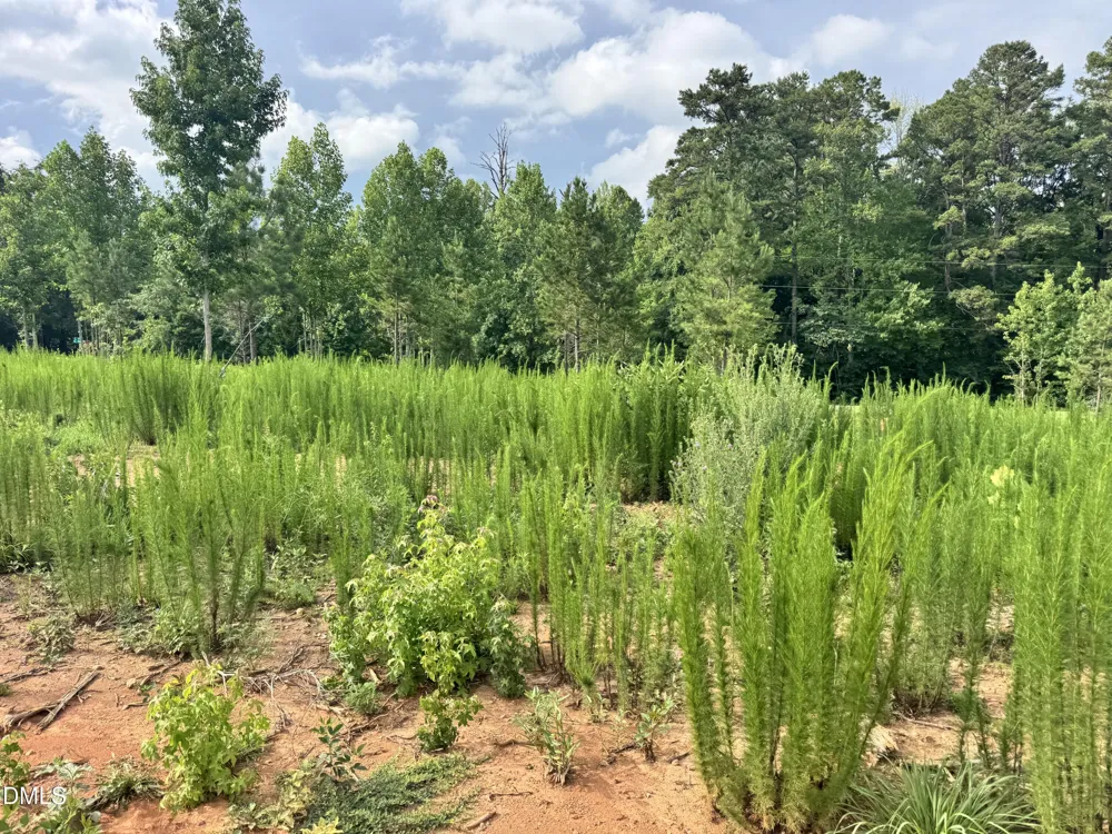 2 Gray Road Timberlake, NC 27583