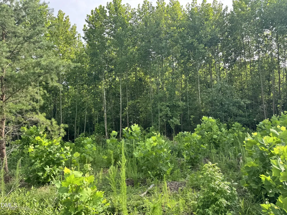 2 Gray Road Timberlake, NC 27583