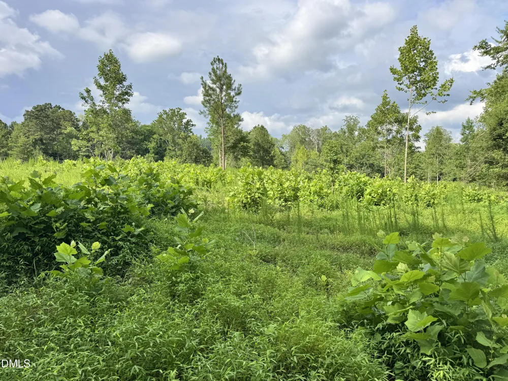 2 Gray Road Timberlake, NC 27583