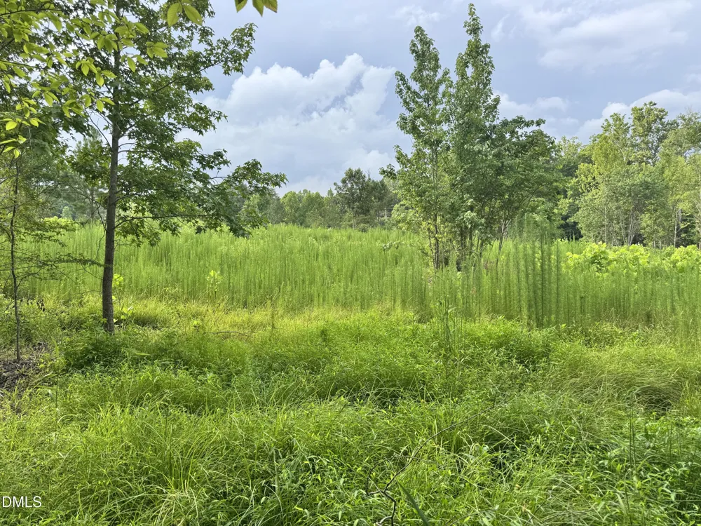 2 Gray Road Timberlake, NC 27583
