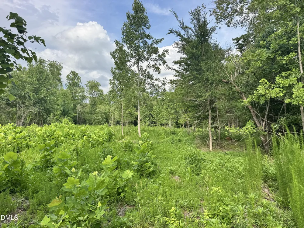 2 Gray Road Timberlake, NC 27583