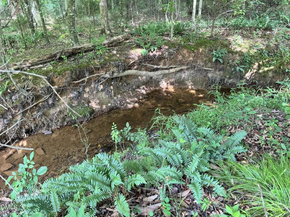 2 Gray Road Timberlake, NC 27583
