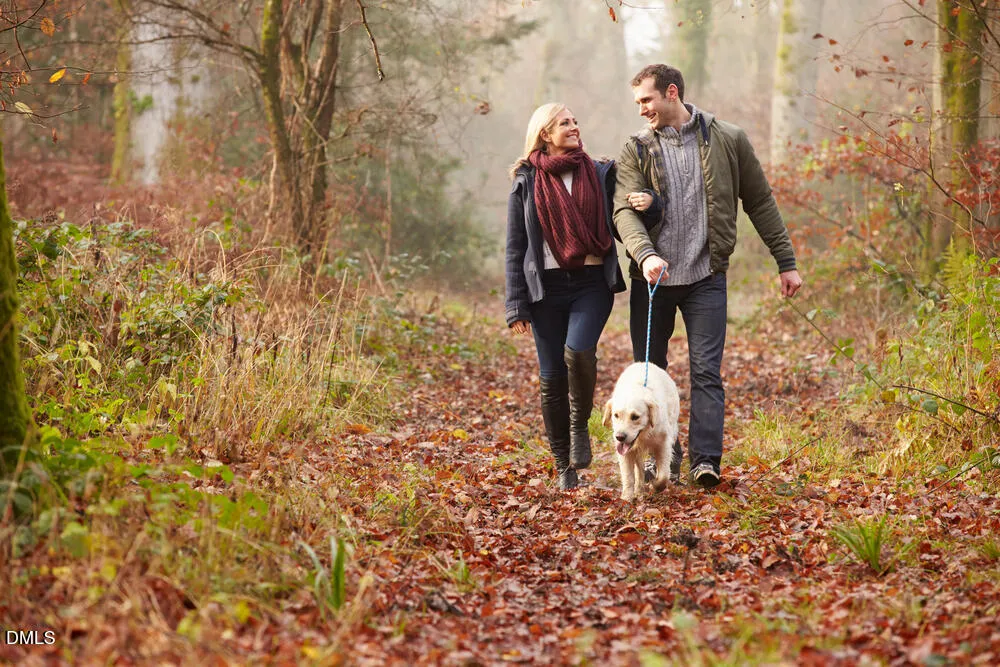 527 Hedrick Rdg Road Cary, NC 27519