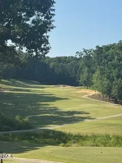 64 Mountain Laurel Chapel Hill, NC 27517