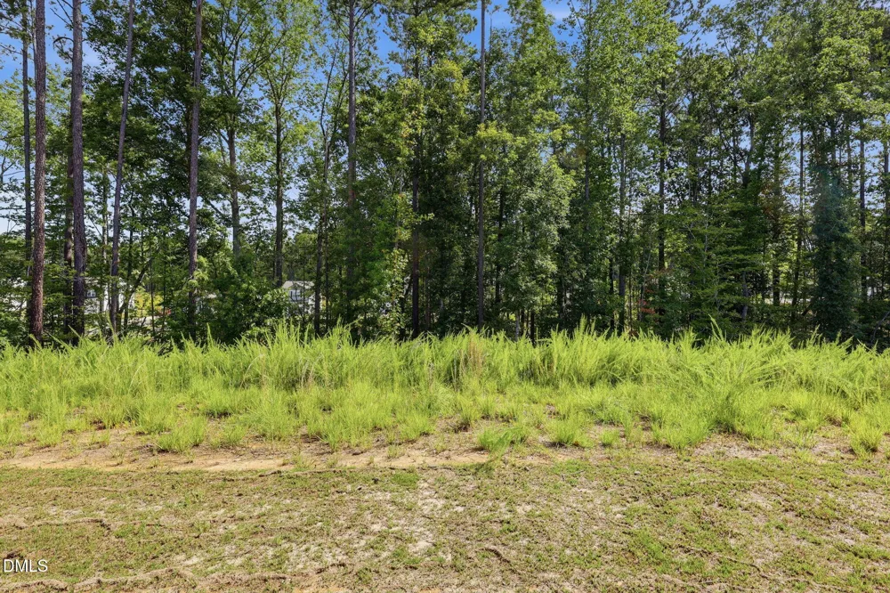 180 Everglade Way Angier, NC 27501