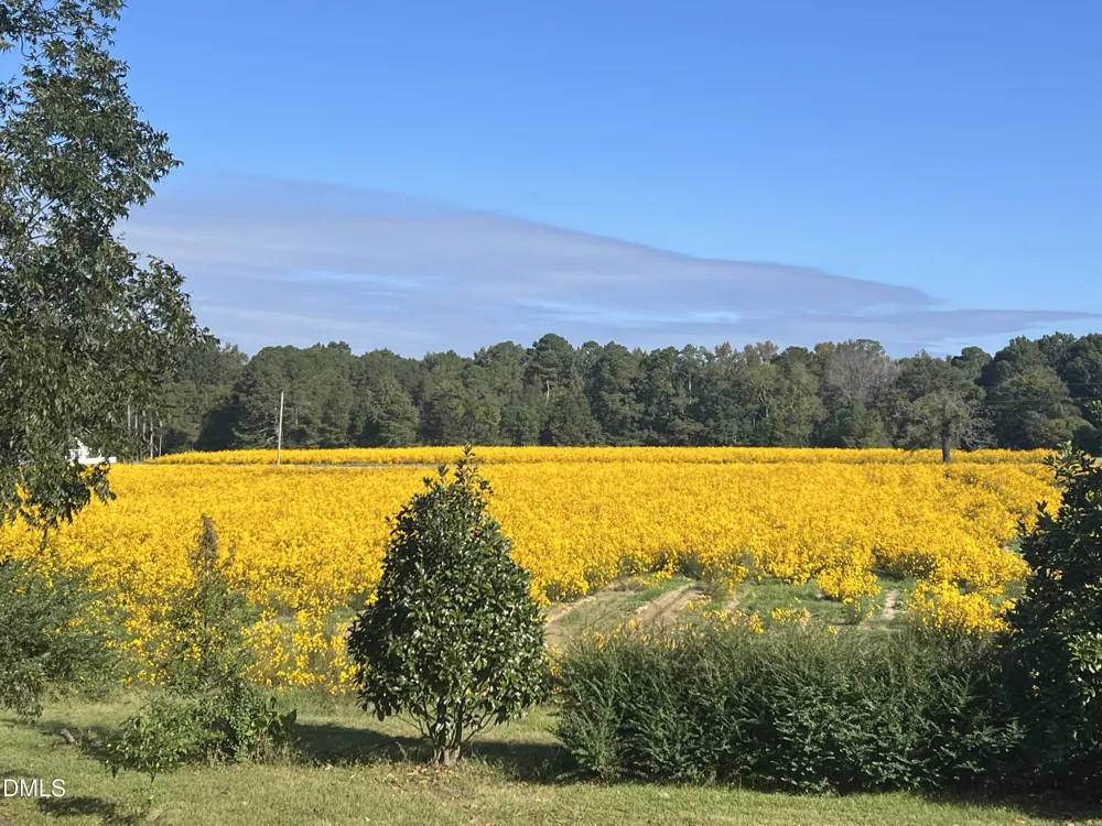 107 Rose Dairy Road Four Oaks, NC 27524