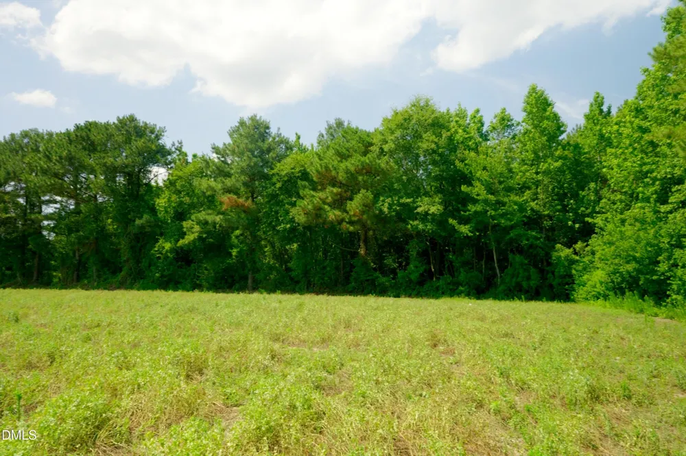 3 Bowden Road Turkey, NC 28393