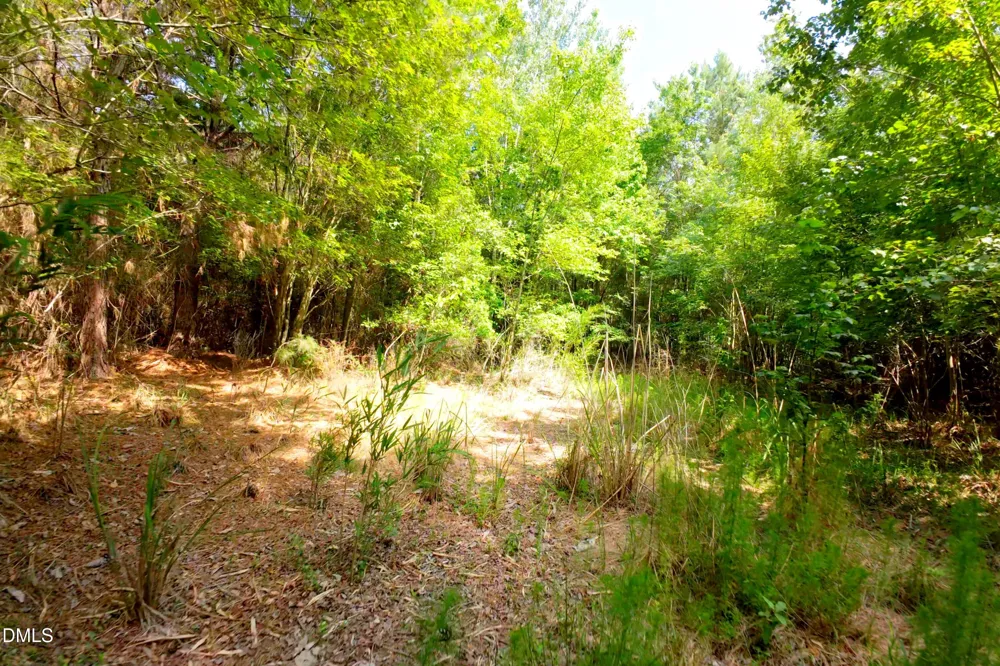 3 Bowden Road Turkey, NC 28393