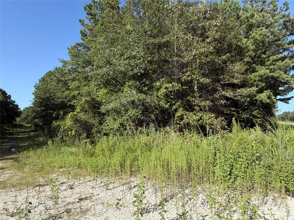 51 Black Cat Road Sour Lake, TX 77659