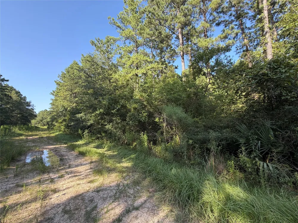 51 Black Cat Road Sour Lake, TX 77659