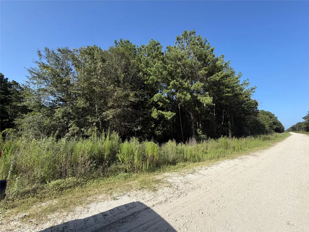 51 Black Cat Road Sour Lake, TX 77659