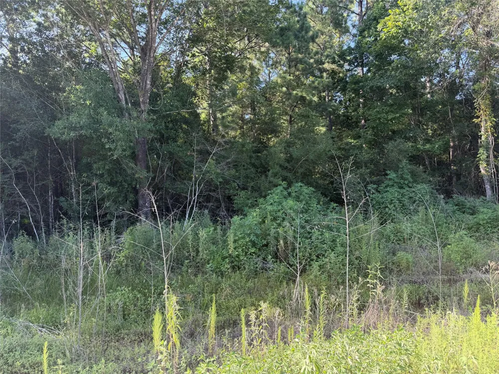 51 Black Cat Road Sour Lake, TX 77659