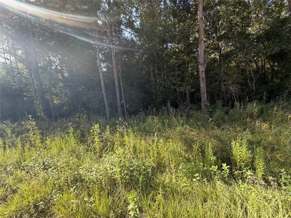 51 Black Cat Road Sour Lake, TX 77659